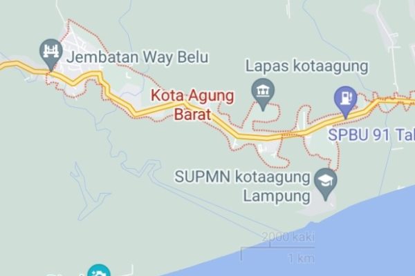 Ayam arab di Kota Agung Barat, Tanggamus