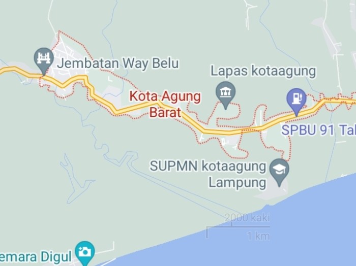 Cek Keunggulan Ayam Arab yang Menguntungkan Bagi Peternak - HOBI TERNAK Ayam arab di Kota Agung Barat, Tanggamus