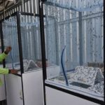 Mengenal Budidaya Magot dari Pojok Krembangan Surabaya dan Rupa-rupa ...