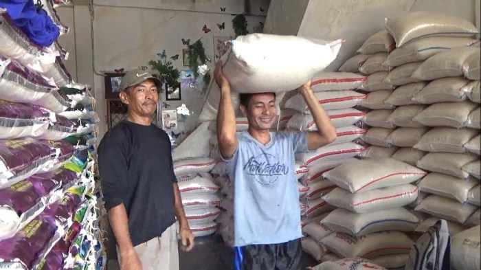 Drone Kota Arga Makmur | Kota dengan view terindah di Bengkulu - YouTube Ayam arab di Arga Makmur, Bengkulu Utara