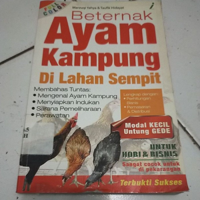 PETERNAKAN AYAM KAMPUNG DI PEGUNUNGAN | TOTAL AYAM SEBANYAK KURANG ...