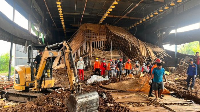 Peternakan Ayam Roboh di Brebes, Pencarian Remaja Tertimbun Masuki Hari ... Peternakan ayam kampung di Brebes, Kab. Brebes