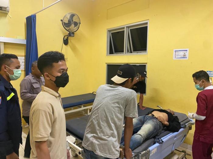 4 Panduan PENTING Ternak Ayam Arab Petelur