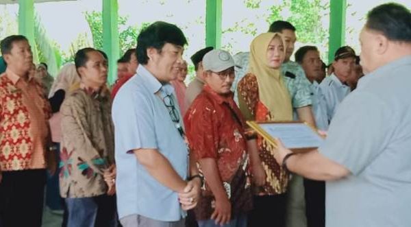 Peluang Bisnis: Mencoba Beternak Ayam Arab