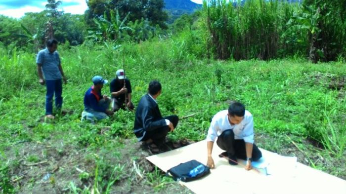 8 Cara Beternak Ayam Kampung dengan Modal Kecil, Hasil Menguntungkan ...