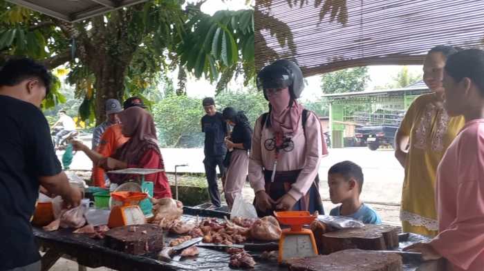 Pedagang Ayam di Seluma Merana, Omset Penjualan Turun Drastis