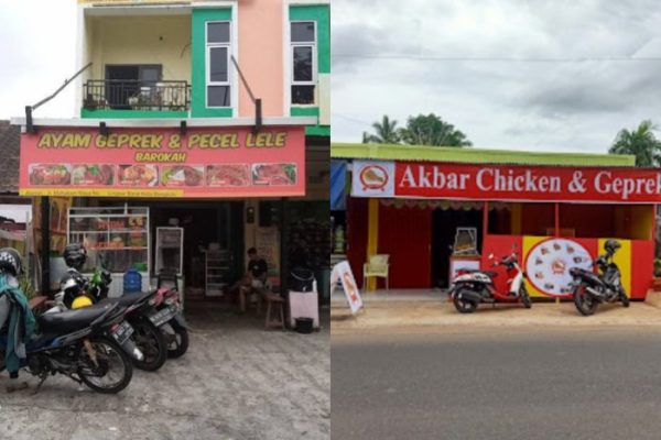 Bisnis Ternak Ayam Arab: Peluang Menjanjikan di Dunia Peternakan (Part ...