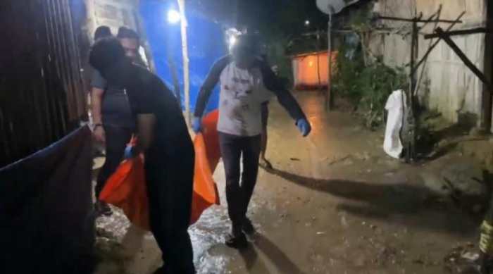 DOC Ayam Arab - Bisnis Ayam Arab yang Menguntungkan