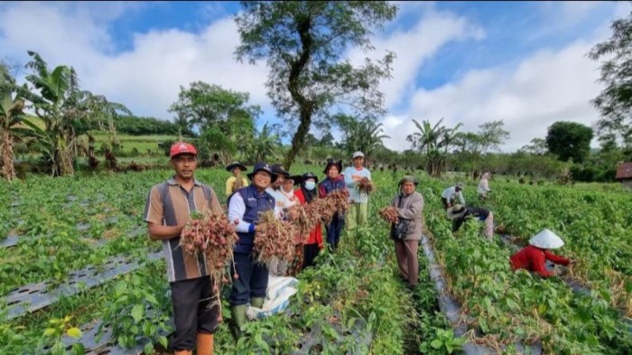 Rejang Lebong dorong 26 desa wisata kembangkan ekonomi kreatif - ANTARA ... Ternak maggot di Selupu Rejang, Rejang Lebong