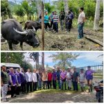 Ternak jangkrik di Terangon, Gayo Lues