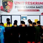 Cara Ternak Jangkrik Lengkap Dan Efektif | Peluang Usaha Budidaya