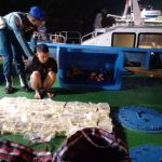 Ternak jangkrik di Blang Mangat, Kota Lhokseumawe