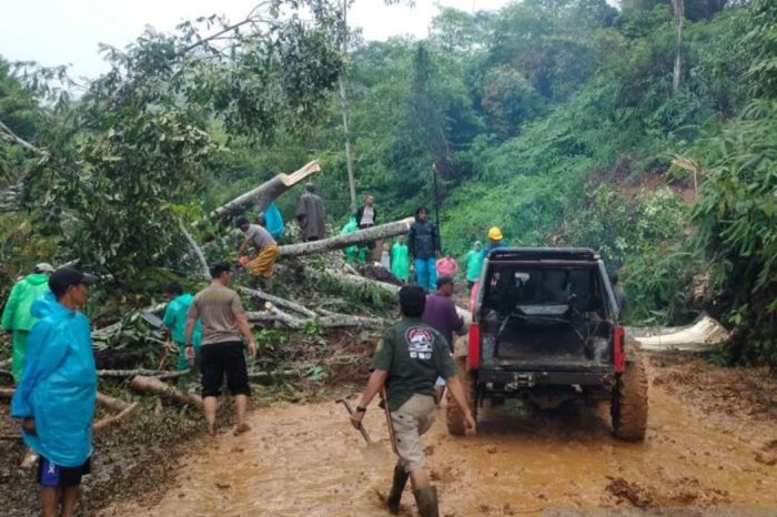 Longsor di Rimbo Pengadang, Jalur Lintas Rejang Lebong-Lebong Lumpuh ... Longsor di Rimbo Pengadang, Jalur Lintas Rejang Lebong-Lebong Lumpuh ...