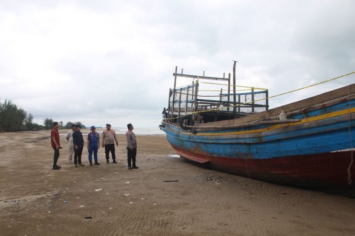 Petani di Aceh Timur yang Ditemukan Meninggal di Sawah Ternyata Punya ... Ternak jangkrik di Peureulak Barat Aceh Timur