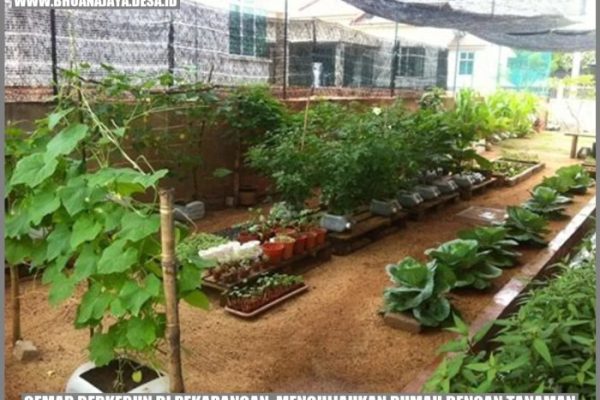 8 Cara Beternak Ayam Kampung dengan Modal Kecil, Hasil Menguntungkan ...