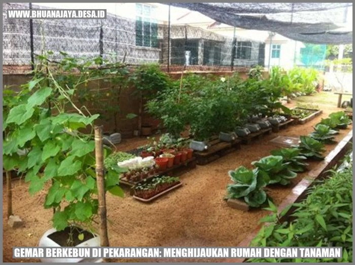 8 Cara Beternak Ayam Kampung dengan Modal Kecil, Hasil Menguntungkan ...