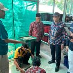 Ternak maggot di Seluma Timur, Seluma