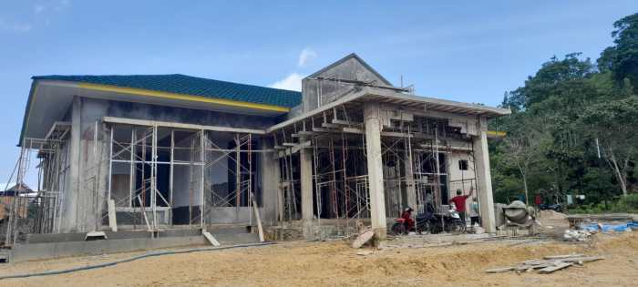 Karakteristik Genetik Eksternal Ayam Arab, Pelung dan Kampung Ayam arab di Pinang Belapis, Lebong