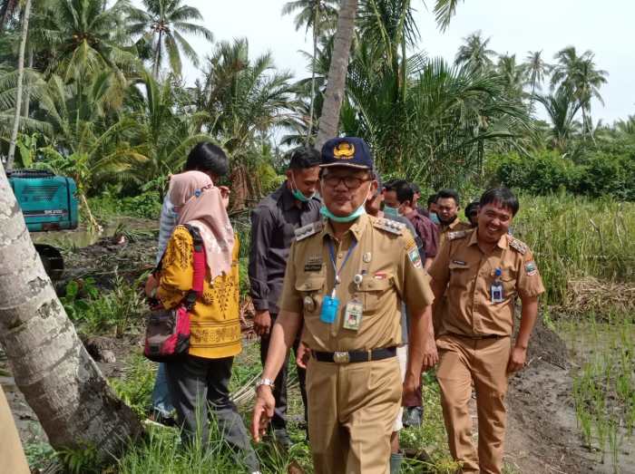 Ratusan Ayam di Aceh Barat Mati Mendadak | Republika Online Ratusan Ayam di Aceh Barat Mati Mendadak | Republika Online