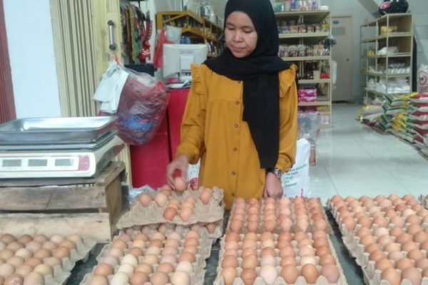 Berdikari - Harga Telur Ayam di Bandar Lampung Naik Rp 33.000 per Kg ...