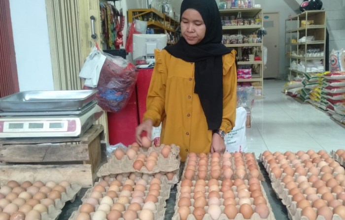 Berdikari - Harga Telur Ayam di Bandar Lampung Naik Rp 33.000 per Kg ...