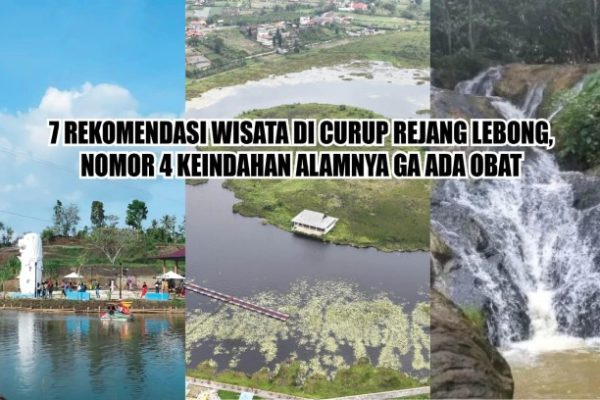 Ayam arab di Curup Tengah, Rejang Lebong