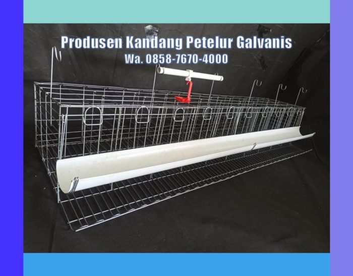 Harga Telur Ayam di Aceh Tengah Turun, Dijual Rp 44.000/Papan ... Harga Telur Ayam di Aceh Tengah Turun, Dijual Rp 44.000/Papan ...