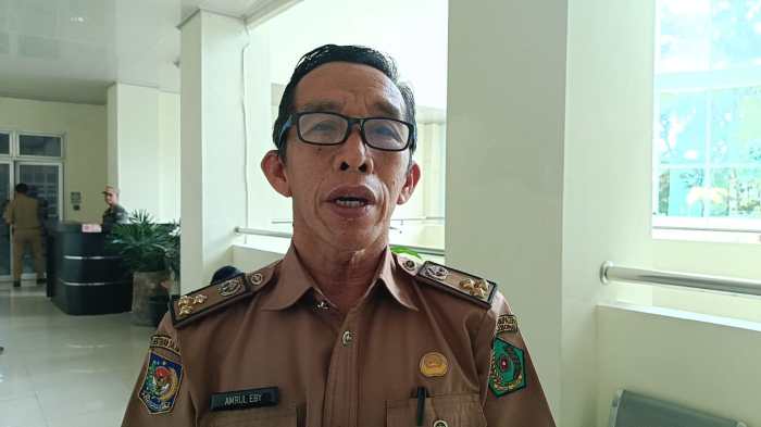 Budidaya Tanaman Bawang Merah Rejang Lebong Menjanjikan Ternak maggot di Selupu Rejang, Rejang Lebong