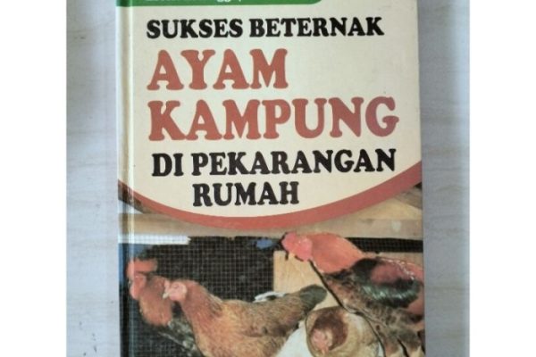 Beternak ayam di pekarangan rumah di Langsa Lama Kota Langsa