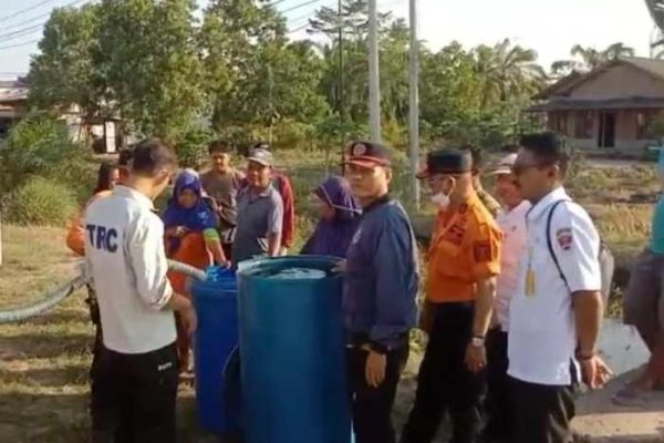 Jual ayam arab 1 bulan lebih | Shopee Indonesia