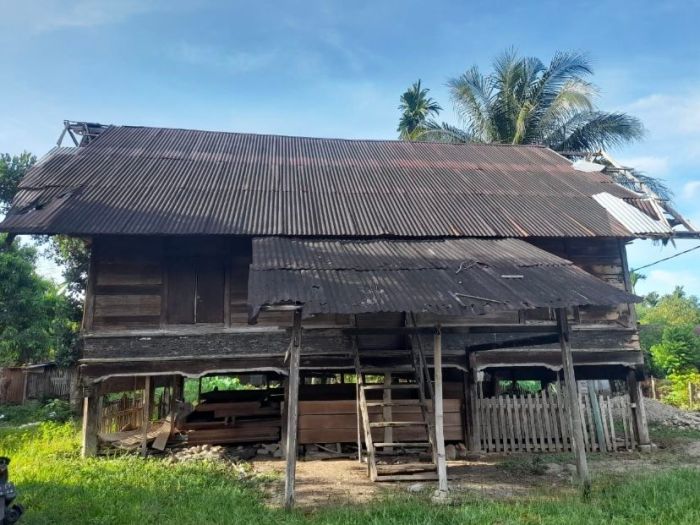 Rumah Syahbandar Peninggalan Kerajaan Susoh yang Dibiarkan Terbengkalai ... Ternak jangkrik di Susoh, Aceh Barat Daya