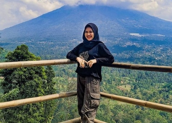 Ayam arab di Gisting, Tanggamus