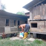 Peternakan ayam kampung di Sukakarya, Kota Sabang