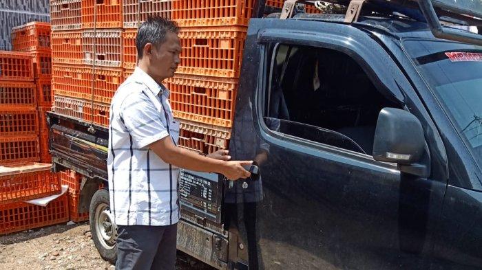 Harga Daging Ayam Potong di Rejang Lebong Naik Rp 5.000 per kilogram ... Ayam arab di Curup, Rejang Lebong
