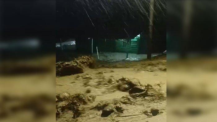 Jalan Blangkejeren-Tripe Jaya di Gayo Lues Tertimbun Longsor, Akses ke ... Ternak jangkrik di Tripe Jaya, Gayo Lues