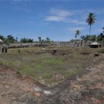 Cangguk Demam Trumon, katak raksasa di Anjungan Aceh Selatan