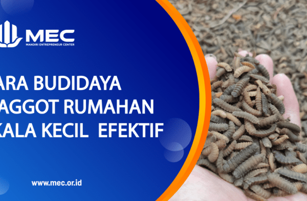 Budidaya maggot pemula di Kuta Cot Glie Aceh Besar