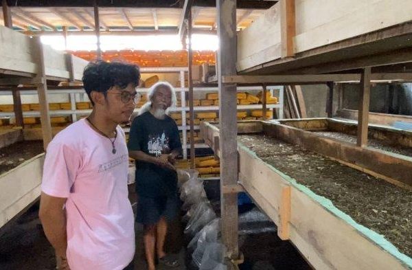 Budidaya Maggot - YouTube