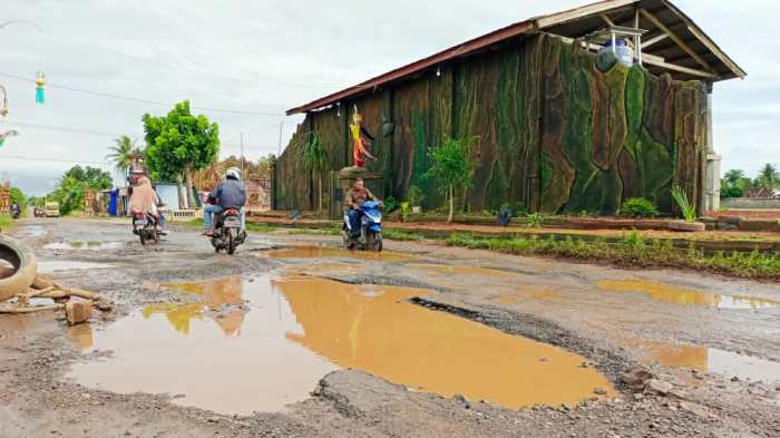Harga Indukan Ayam Arab: Mei 2019