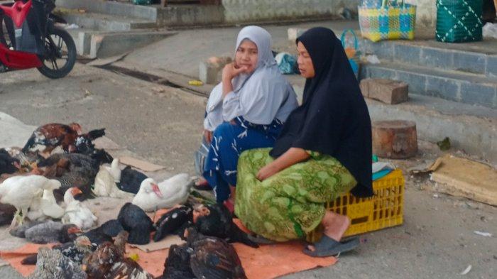 Miliki Potensi Tinggi, Berikut Keunggulan Peternakan Ayam KUB di Lapas ...