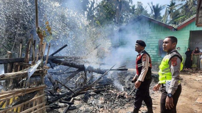 Cara Ternak Jangkrik Untuk Pemula..Hasilkan Keuntungan Besar Dengan ... Ternak jangkrik di Meurah Dua, Pidie Jaya