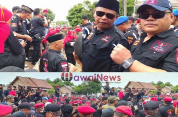 Ayam arab di Bumi Ratu Nuban, Lampung Tengah