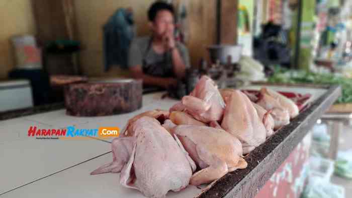 Meresap Sampai Tulang. 10 Ayam Bakar di Bandung Ini Enak Pisan - Nibble Ayam arab di Banjar Margo, Tulang Bawang
