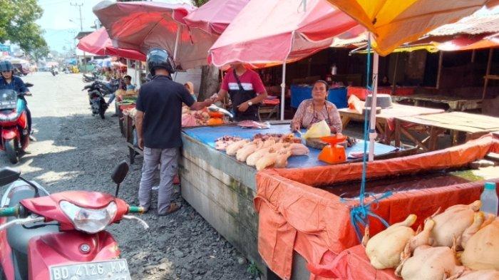 4 Panduan PENTING Ternak Ayam Arab Petelur 4 Panduan PENTING Ternak Ayam Arab Petelur