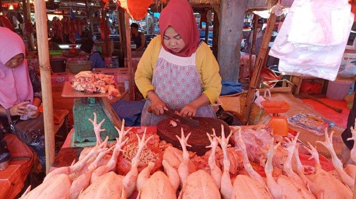 Jual ayam Arab remaja - ayam kampung arab | Shopee Indonesia Jual ayam Arab remaja - ayam kampung arab | Shopee Indonesia