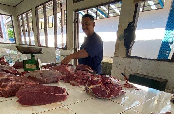 Jual ayam arab 1 bulan lebih | Shopee Indonesia