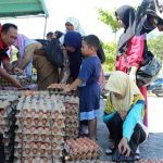 Ayam arab di Seluma Utara, Seluma
