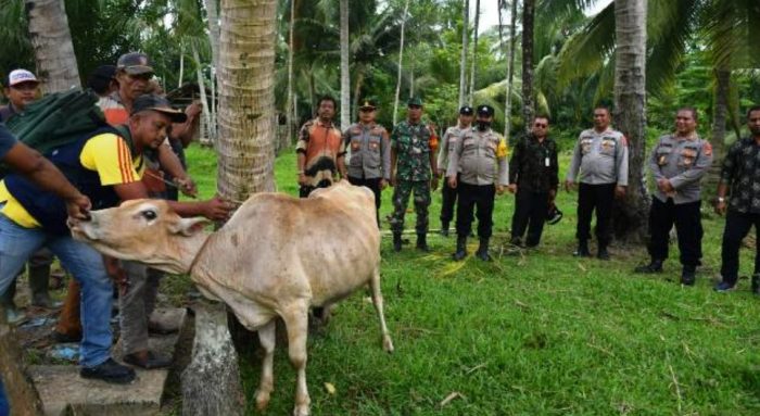 Apa Saja Keuntungan Budidaya Satwa Harapan dan Jenisnya? Apa Saja Keuntungan Budidaya Satwa Harapan dan Jenisnya?