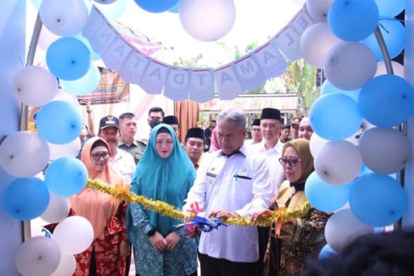 TERNAK MAGGOT BSF DIBAWAH KANDANG MENTOK MENGHEMAT PAKAN - YouTube