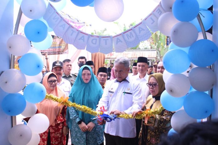 TERNAK MAGGOT BSF DIBAWAH KANDANG MENTOK MENGHEMAT PAKAN - YouTube TERNAK MAGGOT BSF DIBAWAH KANDANG MENTOK MENGHEMAT PAKAN - YouTube